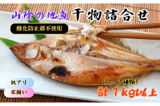 不揃いにつき訳あり　山陰の地魚の干物詰合せ　2～3種　1kg以上　【1453497】