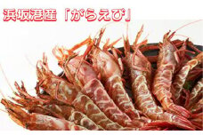 浜坂港産「がらえび」＜小サイズ＞船内冷凍500g【1453902】