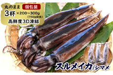 【便利な個包装】朝とれスルメイカ　３杯セット（３杯×200～300ｇ）750ｇ前後　高鮮度3D凍結　