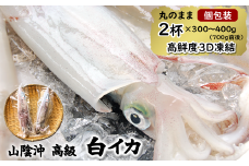 【便利な個包装】高級朝とれ白いか　２杯セット（２杯×300～400ｇ）700ｇ前後　高鮮度3D凍結