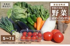 【新温泉町産】季節のおいしい野菜詰め合わせ