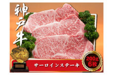 神戸牛 サーロインステーキ　200g×6枚　計1200g　SOST10
