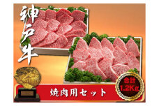 神戸牛 焼肉用セット　合計1200g　SOYS5