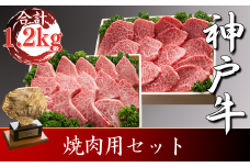 神戸牛 焼肉用セット　合計1200g　SOYS5