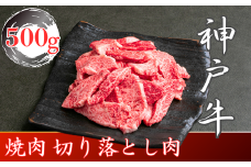 訳あり 神戸牛 焼肉(切り落とし)　500g　SOY1
