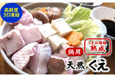 幻の高級魚 天然本クエ鍋用 1.6kg(6-7人前)熟成 旨味凝縮 高鮮度3D凍結 大型使用