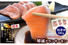 薬剤未使用で安心　国産とっとり琴浦グランサーモン刺身用　500ｇ訳あり 小分け個包装で便利 ご当地