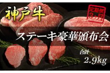 【毎月定期便】神戸牛ステーキ豪華頒布会全3回【4060399】