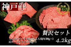神戸牛贅沢セットA 4.2kg(牛脂付き)【1553517】