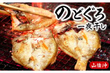 のどぐろ(赤睦)開き一夜干し　中型サイズ2枚【数量限定】個包装でお届け