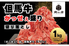 但馬牛　がっせぇ盛り（切落し・1kg）冷凍