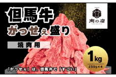 但馬牛 がっせぇ盛り（焼肉用・1kg）250g×4パック