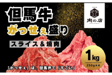 但馬牛 がっせぇ盛り（スライス＆焼肉用・1kg）250g 2種 各2パック 合計4パック 小分け 肉 牛肉 お肉 スライス 薄切り 食べ比べ セット