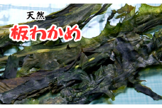 天然　板わかめ　50g×2袋【1157788】