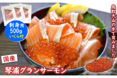 薬剤未使用で安心　国産とっとり琴浦グランサーモン刺身用500g いくら付 訳あり 小分け個包装で便利
