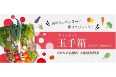 大和情熱野菜【玉手箱】 約5kg （ 13～18種類 ）