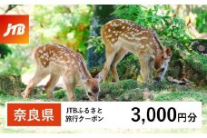 【奈良県】JTBふるさと旅行クーポン（Eメール発行）（3,000円分）