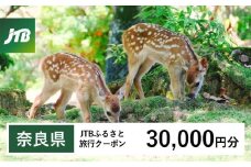 【奈良県】JTBふるさと旅行クーポン（Eメール発行）（30,000円分）