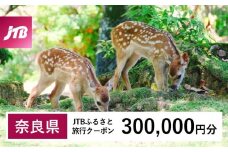 【奈良県】JTBふるさと旅行クーポン（Eメール発行）（300,000円分）