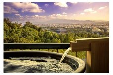 【ANDOHOTEL奈良若草山～DLIGHT LIFE&HOTELS～】平休日1泊2食付 ペア宿泊券《コンフォートツイン》