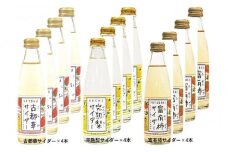 奈良県のフルーツサイダー１２本セット
