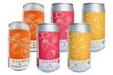 奈良県のフルーツクラフトビール　アソート６本セット