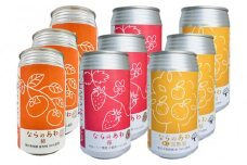 奈良県のフルーツクラフトビール　アソート９本セット