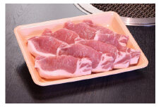 ヤマトポーク とんかつ用 500g