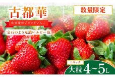 【 数量限定 予約販売 】 ブランド いちご 古都華 1P 宝石のような濃いルビー色 苺 イチゴ 大粒 4L～5L 2026年 1月 以降順次発送 1月 2月 3月 旬 産地 農場 直送 フレッシュ スイーツ スムージー ケーキ フルーツ 果物 国産 ベリー 贈答用 プレゼント 人気 ふるさと納税 ふるさと おすすめ 限定 奈良県 奈良市 なら 古都華カンパニー IK-01