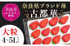 【 数量限定 予約販売 】 ブランド いちご 古都華 1P 宝石のような濃いルビー色 苺 イチゴ 大粒 4L～5L 2026年 1月 以降順次発送 1月 2月 3月 旬 産地 農場 直送 フレッシュ スイーツ スムージー ケーキ フルーツ 果物 国産 ベリー 贈答用 プレゼント 人気 ふるさと納税 ふるさと おすすめ 限定 奈良県 奈良市 なら 古都華カンパニー IK-01
