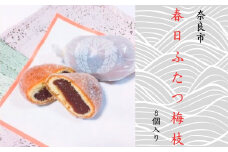 萬林堂 春日ふたつ梅枝 和菓子 餡ドーナツ あんこ 饅頭  奈良県 奈良市 J-21