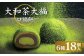 大和茶大福 口福餠 詰め合わせ 18個入り