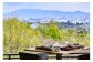 ANDO HOTEL 奈良若草山　景観