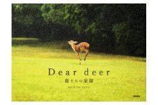 奈良の鹿 写真集「Dear deer 鹿たちの楽園」シカ しか 奈良公園 奈良県 奈良市 J-63