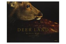 奈良の鹿 写真集「DEER LAND 誰も知らない鹿の国」シカ しか 奈良公園 奈良県 奈良市 I-192