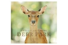 奈良の鹿 写真集「DEER PARK 世界でここにしかない奇跡の場所」シカ しか 奈良公園 奈良県 奈良市 I-193