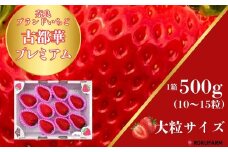 「6FARMの 古都華いちご」 限定出荷 〈6FARM〉 いちご 苺 奈良ブランド苺 イチゴ ブランド 古都華 大粒 奈良県 奈良市 なら 20-037