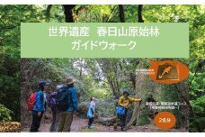 体験チケット 【世界遺産 春日山原始林ガイドウォーク】 ペア 2名1組 ガイド券 ギフトチケット 滝坂の道・南部遊歩道コース（所要時間４時間） 奈良県 奈良市 F-88