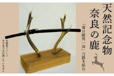 天然記念物奈良の鹿「春日鹿角一双」刀置き杉台 一般財団法人奈良の鹿愛護会 奈良県 奈良市 なら BD-02