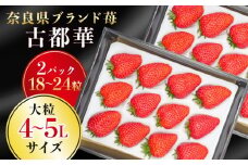 【 数量限定 予約販売 】 ブランド いちご 古都華 2P 宝石のような濃いルビー色 苺 イチゴ 大粒 4L～5L 2026年 1月 以降順次発送 1月 2月 3月 旬 産地 農場 直送 フレッシュ スイーツ スムージー ケーキ フルーツ 果物 国産 ベリー 贈答用 プレゼント 人気 ふるさと納税 ふるさと おすすめ 限定 奈良県 奈良市 なら 古都華カンパニー HJ-05