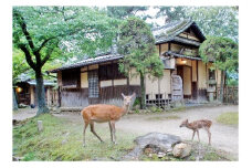 江戸三　ランチ・ワンドリンク付き　2名様　お食事券 F-89