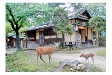 江戸三　ランチ・ワンドリンク付き　2名様　お食事券 F-89