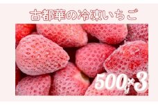 【数量限定】古都華 の 冷凍いちご（古都華） 大ちゃんの厳選いちご 奈良ブランド苺 イチゴ 大粒 旬 産地直送 フレッシュ フルーツ 果物 国産 ベリー 冷凍 人気苺 ふるさと納税苺 ふるさと苺 furusato苺 おすすめ苺 いちご農家だるま 奈良県 奈良市 10-025