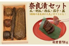  奈良漬5種セット720g 奈良漬 箱詰Y5 【株式会社山崎屋】うりの奈良漬け 奈良漬 漬け物 漬物 うり きゅうり しょうが かぶ すいか あっさり パリパリ 初心者向け 奈良漬 マイルド 甘め おいしい おすすめ 食べやすい 奈良県 奈良市 奈良 なら 奈良漬 箱詰Y5 U-116