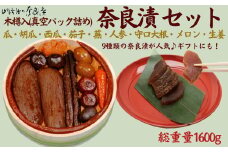 奈良漬9種セット 奈良漬 樽詰Y13【株式会社山崎屋】 1600g うりの奈良漬け 奈良漬 漬け物 漬物 うり きゅうり かぶら すいか にんじん 守口大根 しょうが メロン なす あっさり パリパリ 初心者向け 奈良漬 マイルド 甘め おいしい おすすめ 食べやすい 奈良県 奈良市 奈良 なら 樽詰Y13  K-30