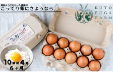 【ふるさと納税】飛鳥の卵（１０個×４箱）定期便６ケ月 たまご 平飼い 卵 玉子 タマゴ 鶏卵 オムレツ 卵かけご飯 たまご焼き たまご 卵 玉子 タマゴ オムレツ 朝食 料理 人気 たまご 卵焼き 鶏卵 たまご料理  古都風雅ファーム 奈良市なら 90-001
