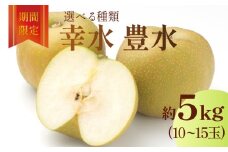 梨 豊水 約5kg 10～15玉 数量限定 季節限定 フルーツ 果物 梨 ナシ なし 和梨 デザート スイーツ おやつ ★★ 先行予約 梨 旬 果物 8月配送 9月配送 限定 井ガシラ農園 奈良県 奈良市