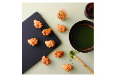 人気ベスト3食べ比べお得セット各22個入（ギフト箱入り） KINTOUN babycastella カステラ 一口カステラ ベビーカステラ 奈良県 奈良市 なら 11-077