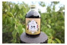 鳥梅コーラシロップ 梅古庵 奈良県 奈良市 なら 10-032