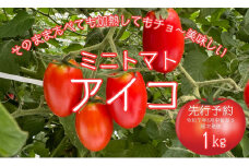 【先行予約】令和7年8月中旬から順次発送  ミニトマト アイコ 1kg 酸味 みずみずしさ とまと トマト 野菜 夏秋 ぴの山ファーム 奈良県 奈良市 なら 9-100